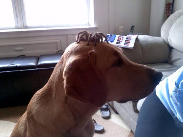 daily picdump 107 pics 18.html - 107 HD Photos | Premium Gallery 2016