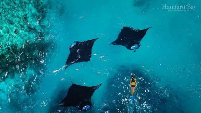 daily picdump 107 pics 18.html - 107 HD Photos | Premium Gallery 2016