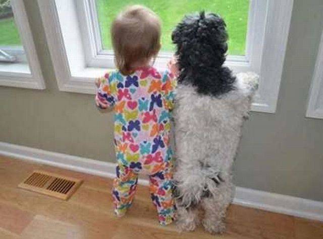 daily picdump 107 pics 18.html - 107 HD Photos | Premium Gallery 2016