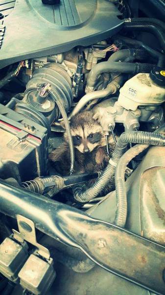 daily picdump 107 pics 18.html - 107 HD Photos | Premium Gallery 2016