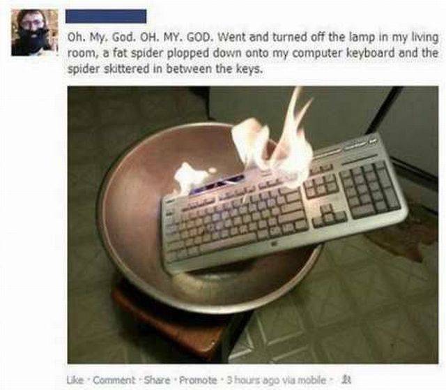 daily picdump 107 pics 18.html - 107 HD Photos | Premium Gallery 2016