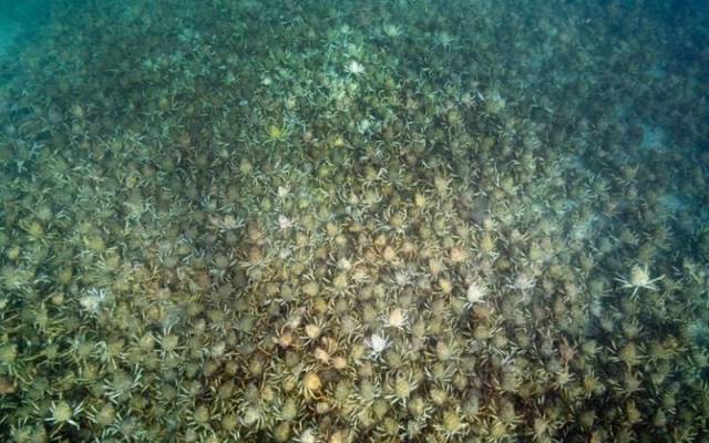 daily picdump 107 pics 18.html - 107 HD Photos | Premium Gallery 2016