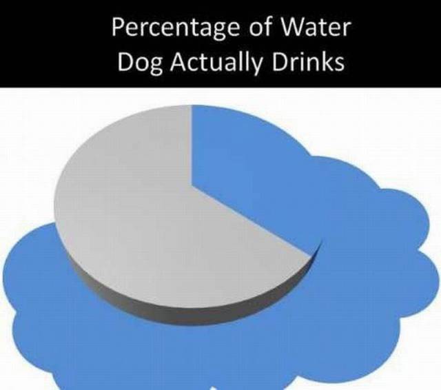 daily picdump 107 pics 18.html - 107 HD Photos | Premium Gallery 2016