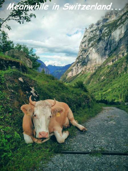 daily picdump 107 pics 18.html - 107 HD Photos | Premium Gallery 2016