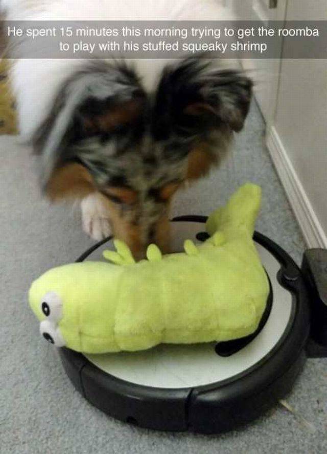 daily picdump 107 pics 18.html - 107 HD Photos | Premium Gallery 2016