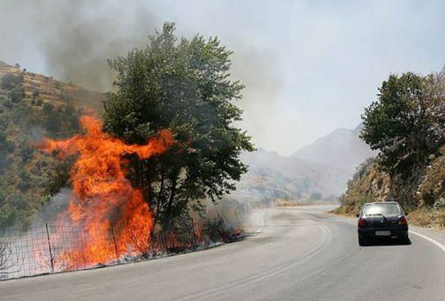 morning picdump 50 pics 19.html - 50 HD Photos | Premium Gallery 2016