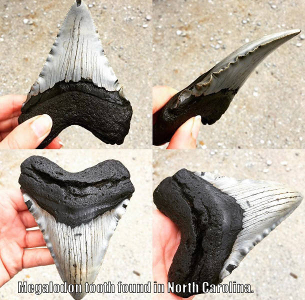 morning picdump 50 pics 8.html - 50 HD Photos | Premium Gallery 2016