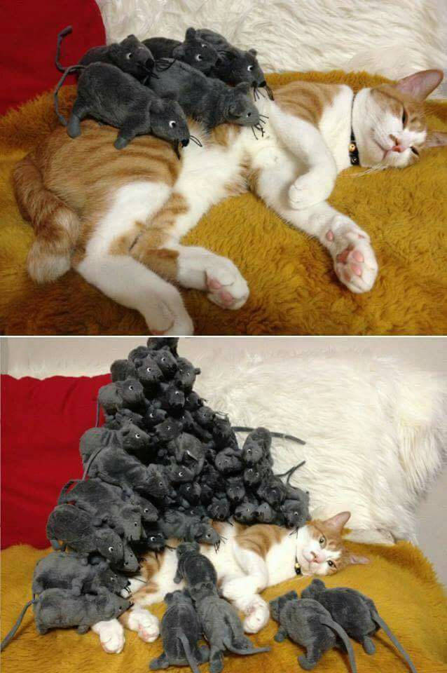 morning picdump 50 pics 8.html - 50 HD Photos | Premium Gallery 2016