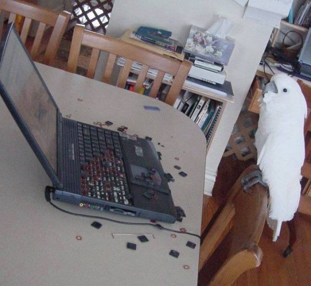 morning picdump 50 pics 19.html - 50 HD Photos | Premium Gallery 2016