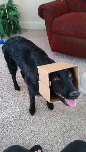 morning picdump 50 pics 21.html - 50 HD Photos | Premium Gallery 2016