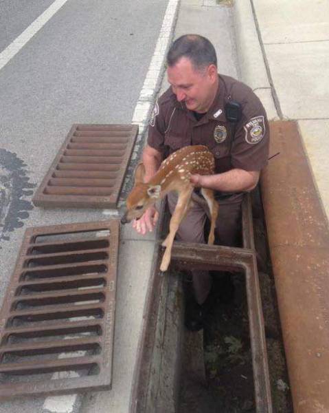 morning picdump 50 pics 21.html - 50 HD Photos | Premium Gallery 2016