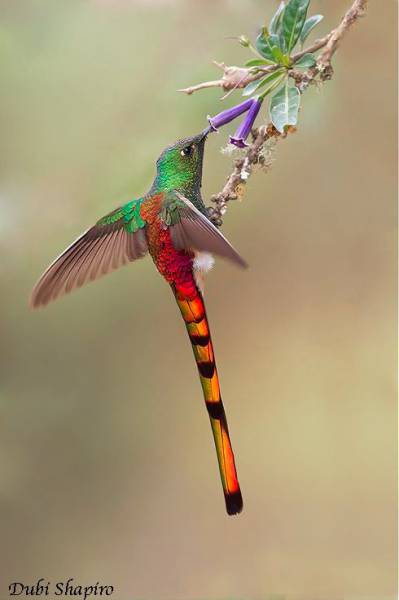 morning picdump 50 pics 21.html - 50 HD Photos | Premium Gallery 2016