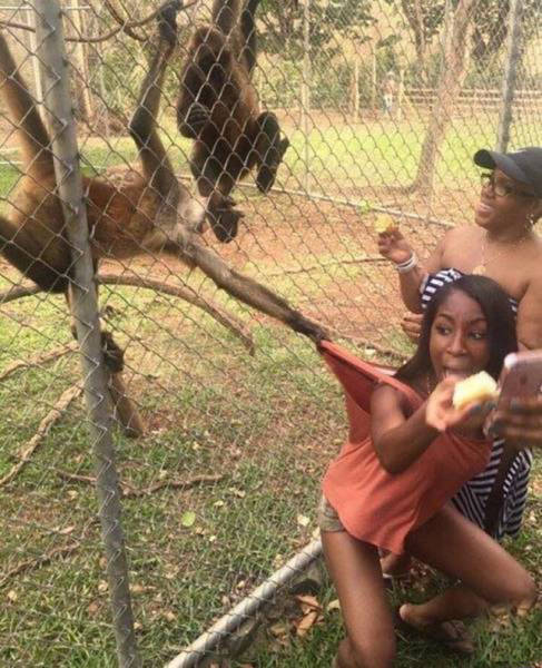 There’s Nothing Better Than Perfectly Timed Photos