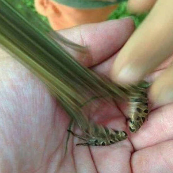 There’s Nothing Better Than Perfectly Timed Photos