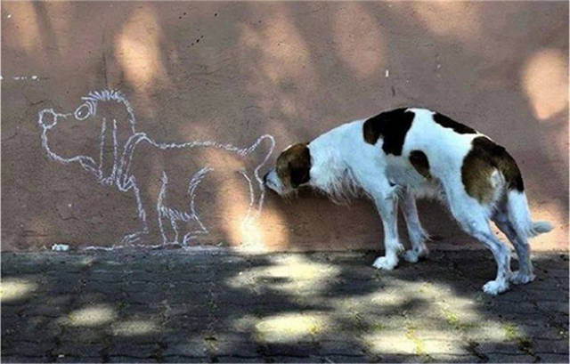 There’s Nothing Better Than Perfectly Timed Photos