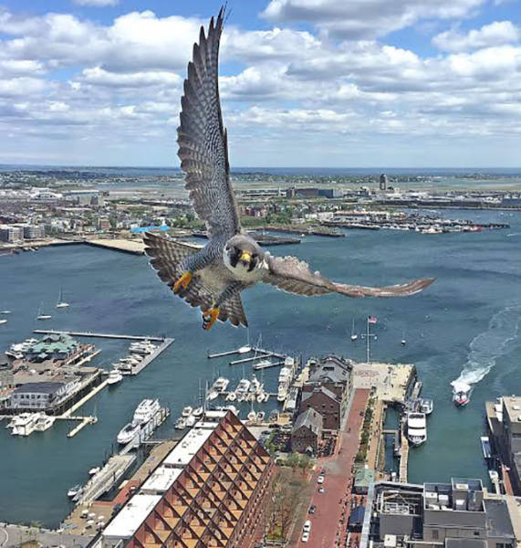 There’s Nothing Better Than Perfectly Timed Photos