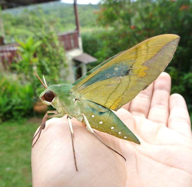 morning picdump 51 pics 3.html - 51 HD Photos | Premium Gallery 2016