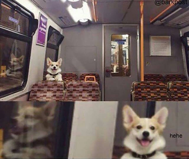 morning picdump 51 pics 3.html - 51 HD Photos | Premium Gallery 2016