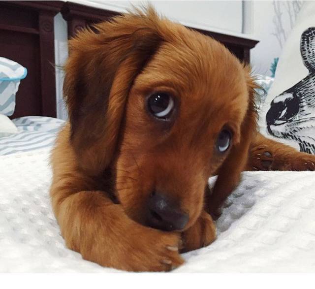 morning picdump 51 pics 3.html - 51 HD Photos | Premium Gallery 2016