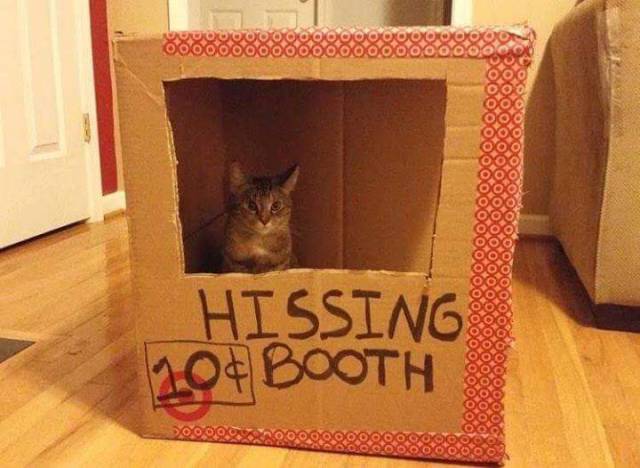 morning picdump 50 pics 8.html - 50 HD Photos | Premium Gallery 2016