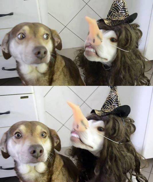 morning picdump 50 pics 8.html - 50 HD Photos | Premium Gallery 2016