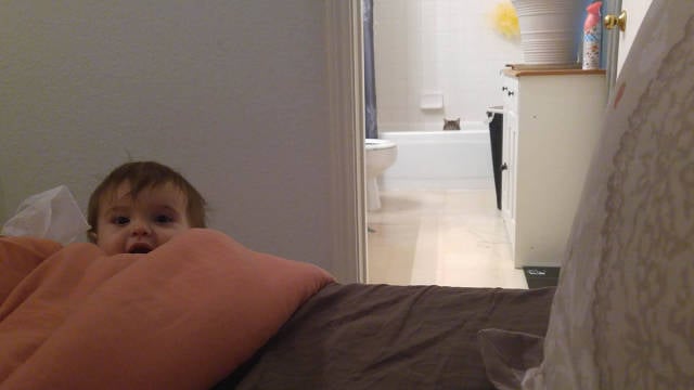 morning picdump 50 pics 24.html - 50 HD Photos | Premium Gallery 2016