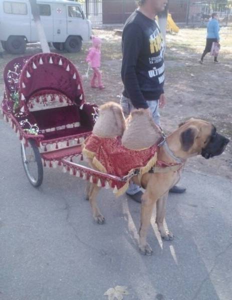 morning picdump 50 pics 24.html - 50 HD Photos | Premium Gallery 2016