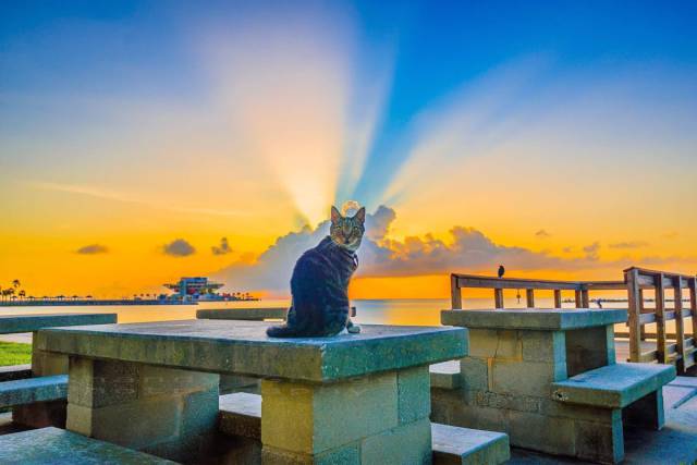 morning picdump 54 pics 17.html - 54 HD Photos | Premium Gallery 2016