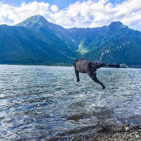 daily picdump 100 pics 9.html - 100 HD Photos | Premium Gallery 2016