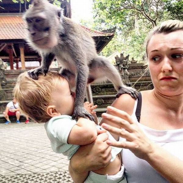 daily picdump 100 pics 9.html - 100 HD Photos | Premium Gallery 2016