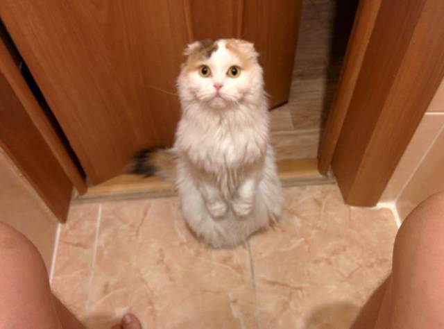 daily picdump 100 pics 9.html - 100 HD Photos | Premium Gallery 2016