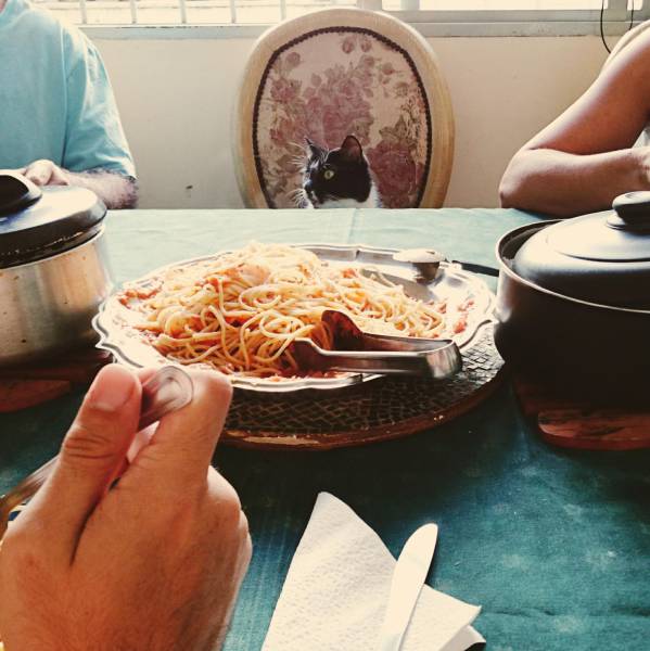 daily picdump 100 pics 9.html - 100 HD Photos | Premium Gallery 2016