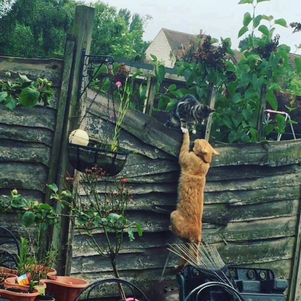 morning picdump 50 pics 9.html - 50 HD Photos | Premium Gallery 2016