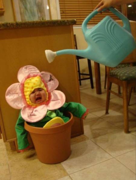 morning picdump 50 pics 9.html - 50 HD Photos | Premium Gallery 2016