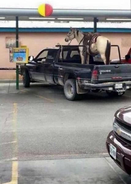 morning picdump 50 pics 9.html - 50 HD Photos | Premium Gallery 2016