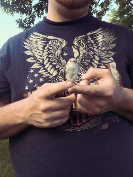 morning picdump 50 pics 9.html - 50 HD Photos | Premium Gallery 2016