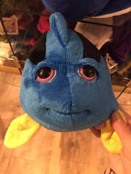 morning picdump 50 pics 9.html - 50 HD Photos | Premium Gallery 2016