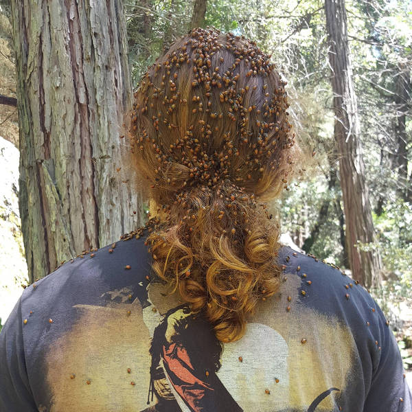 morning picdump 50 pics 9.html - 50 HD Photos | Premium Gallery 2016