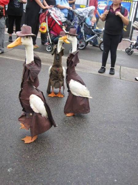 morning picdump 50 pics 9.html - 50 HD Photos | Premium Gallery 2016