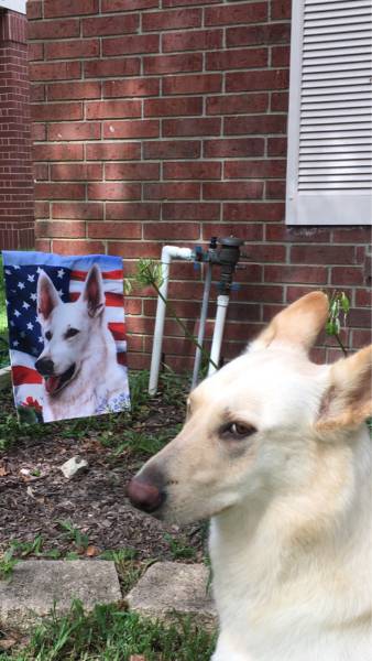 morning picdump 50 pics 14.html - 50 HD Photos | Premium Gallery 2016