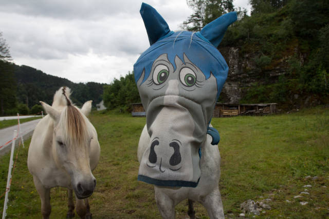 morning picdump 50 pics 14.html - 50 HD Photos | Premium Gallery 2016