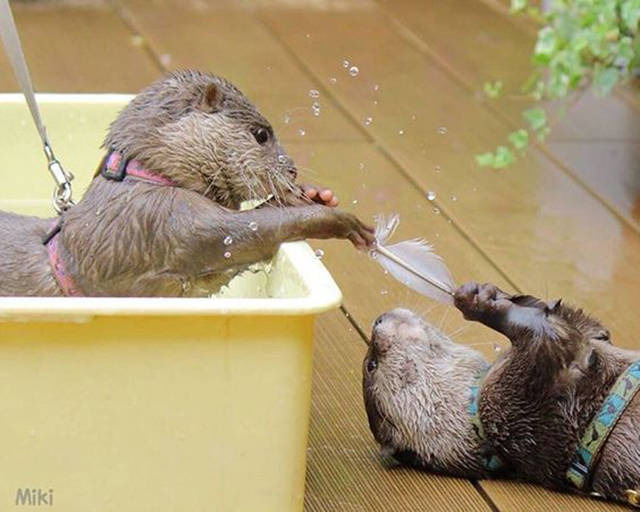 Morning Picdump