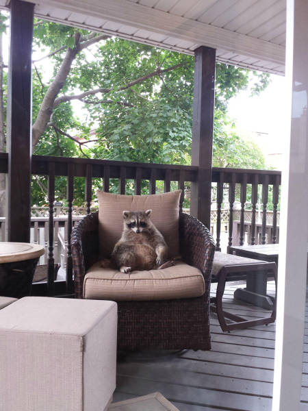 morning picdump 52 pics 1.html - 52 HD Photos | Premium Gallery 2016