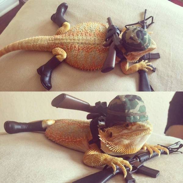 morning picdump 52 pics 1.html - 52 HD Photos | Premium Gallery 2016