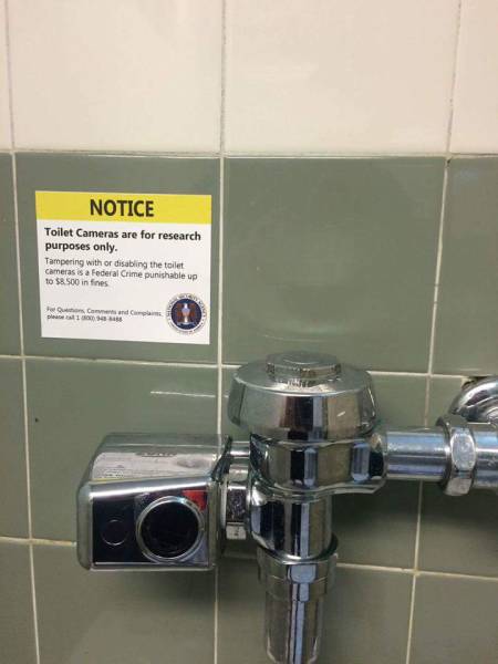 morning picdump 52 pics 1.html - 52 HD Photos | Premium Gallery 2016