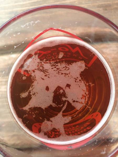 morning picdump 50 pics 3.html - 50 HD Photos | Premium Gallery 2016