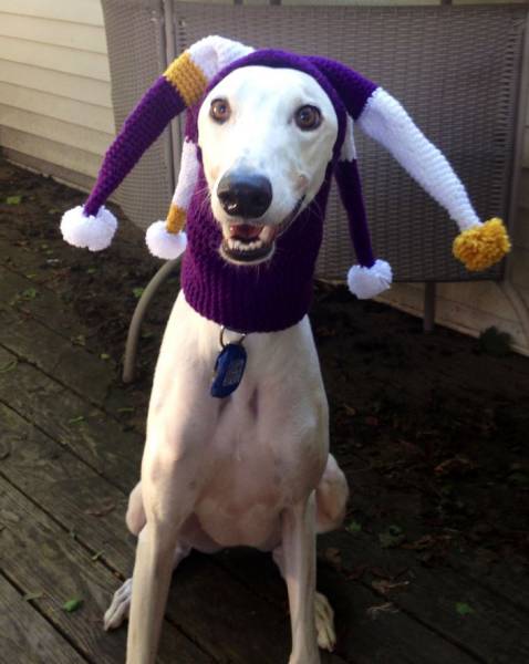 morning picdump 50 pics 3.html - 50 HD Photos | Premium Gallery 2016