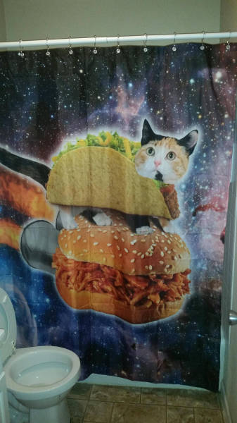 morning picdump 53 pics 4.html - 53 HD Photos | Premium Gallery 2016