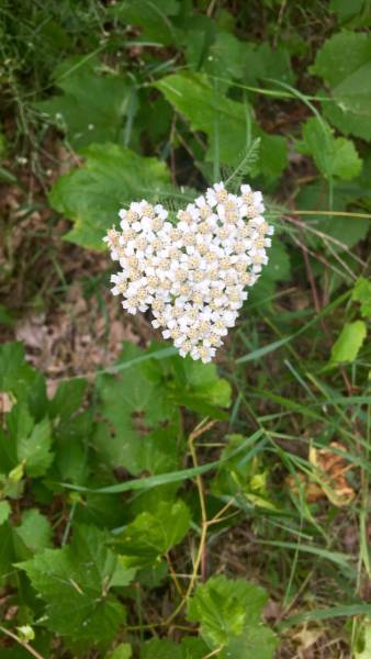 morning picdump 53 pics 4.html - 53 HD Photos | Premium Gallery 2016