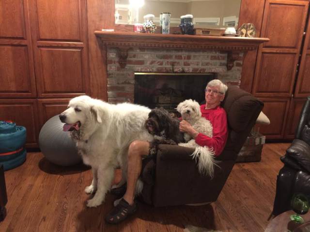 morning picdump 53 pics 4.html - 53 HD Photos | Premium Gallery 2016